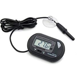 digital thermometer with probe