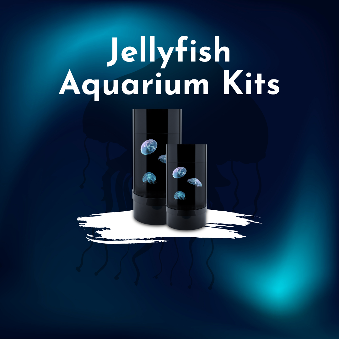 Jellyfish Aquarium Kits