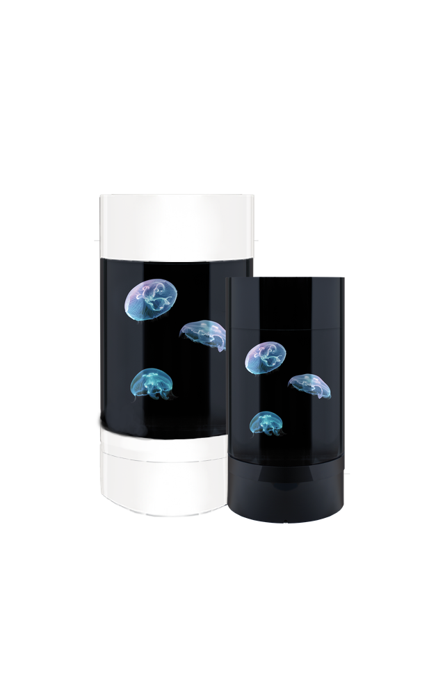 Jelly Cylinder 5 Diamond White  (Aquarium Only)