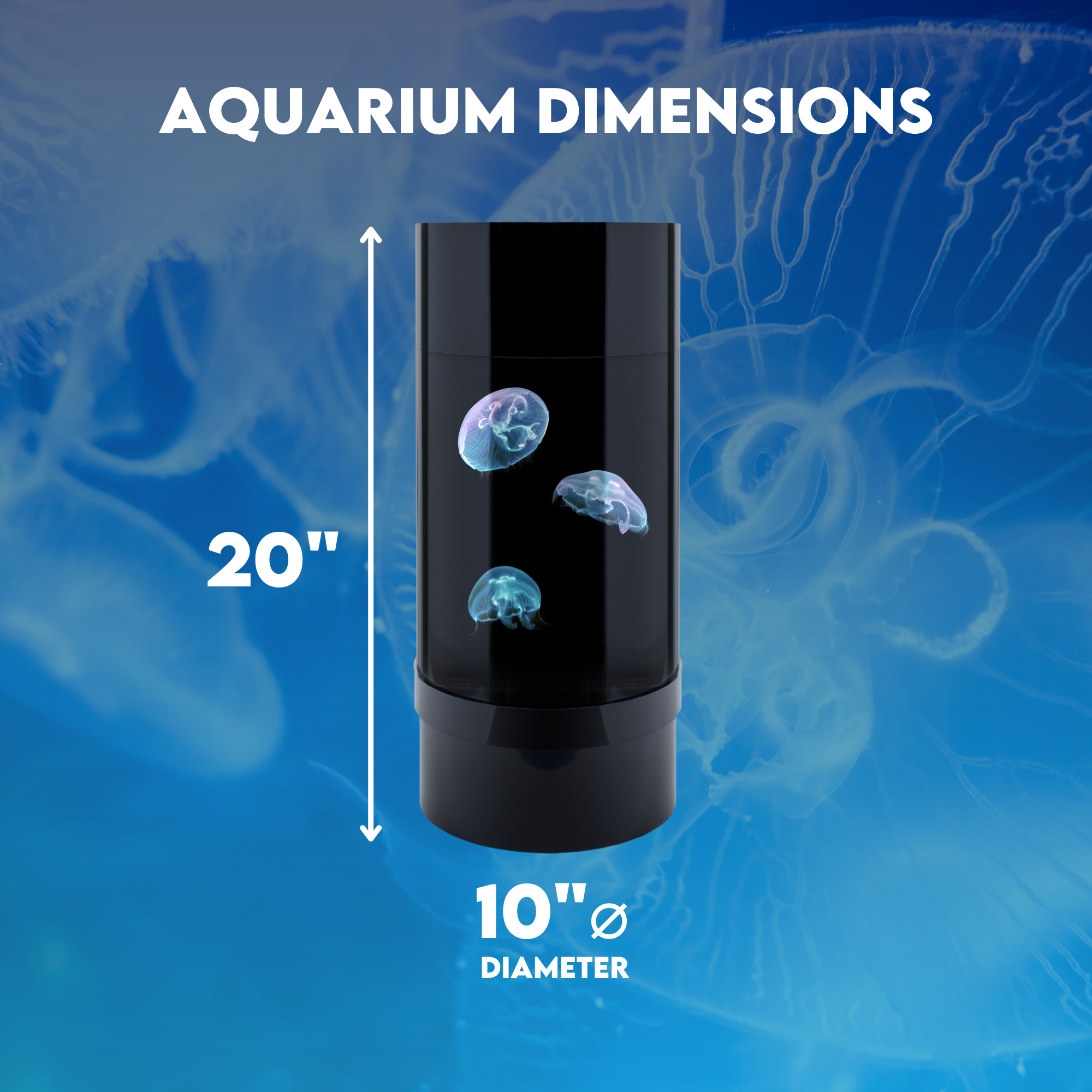 Home Jellyfish Aquarium - Desktop Aquarium for Real Jellyfish, Great for Small Spaces and Stress Relief
Jellyfish Cylinder Nano Aquarium - Unique Pet Fish Setup with Low Maintenance and Supplies List for Beginners
Jellyfish Aquarium Starter Kit - Unique Pets to Own, Includes Hydrometer, JellyBio Starter, and Chemi-Pure Blue for Saltwater Maintenance
Low Maintenance Pets - Jellyfish Aquarium for Apartments and Offices, Perfect for Elderly and Kids, Cool Unique Pets for Sale