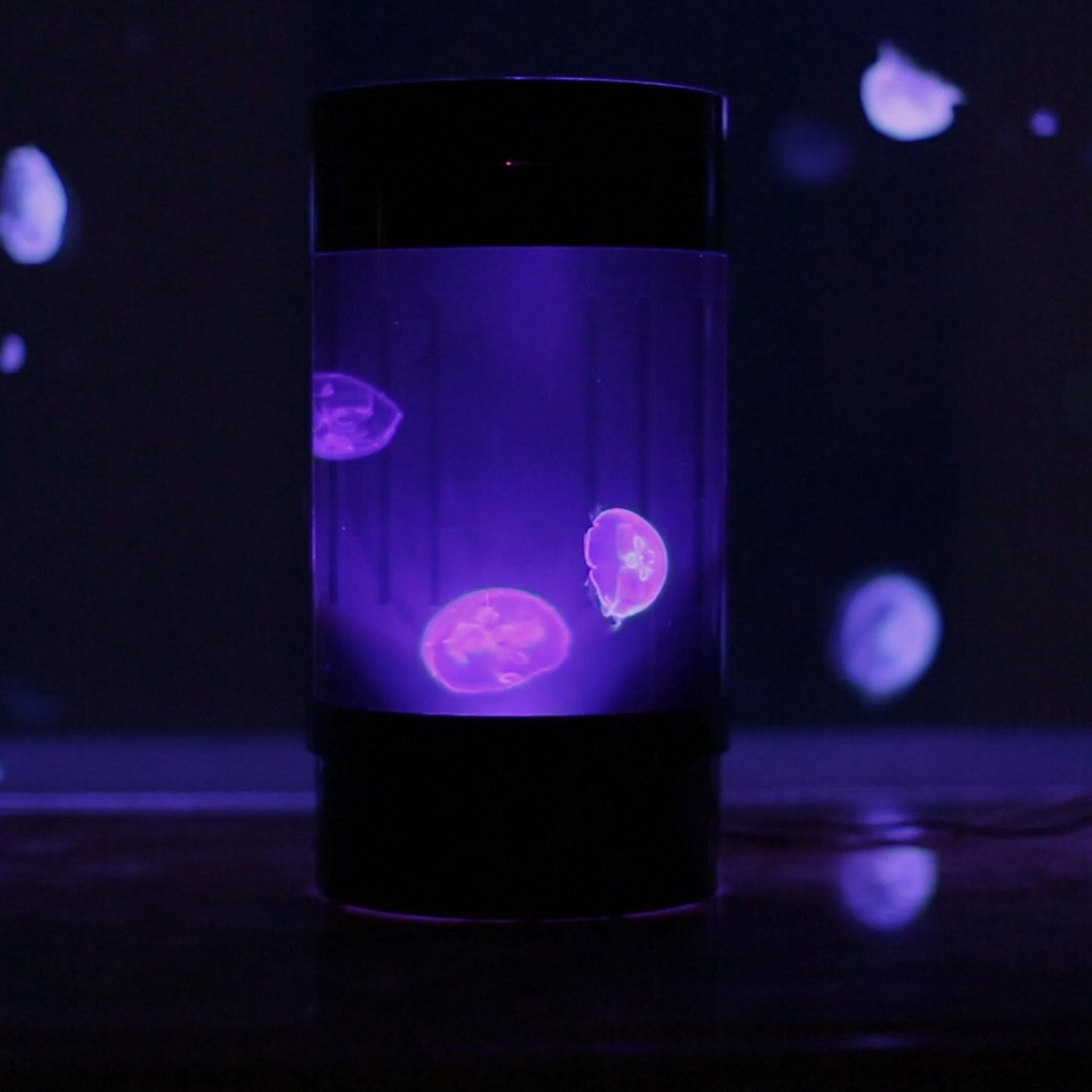 Jelly Cylinder Nano® (Groupon)