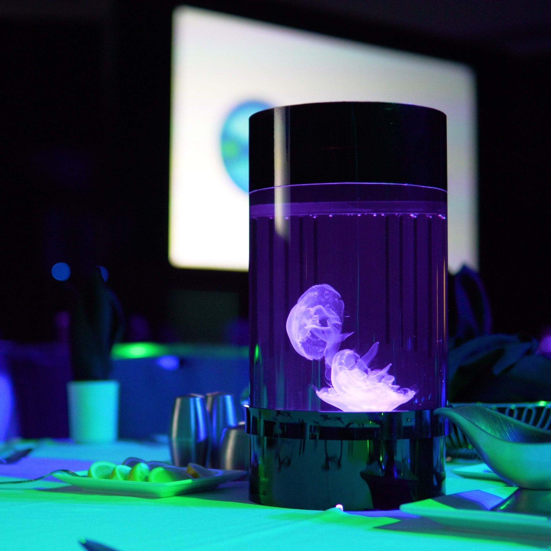 Jelly Cylinder Nano® (Groupon)