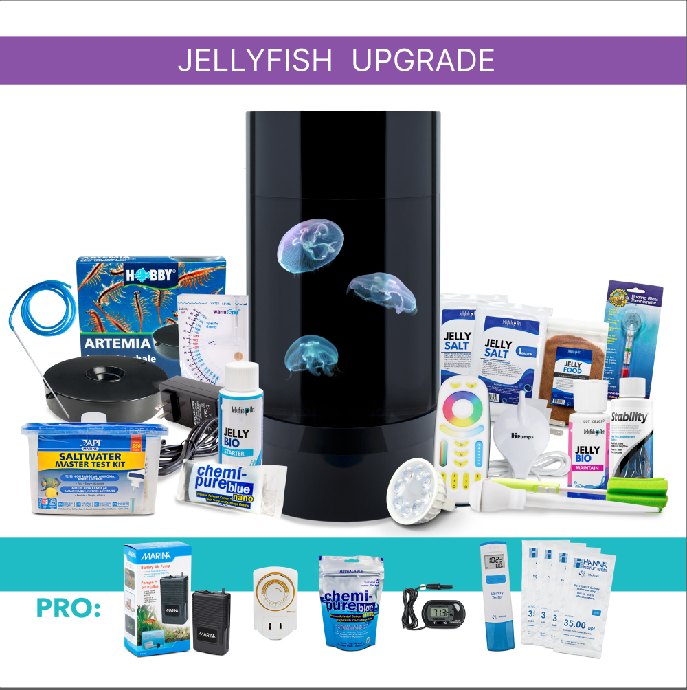 Jelly Cylinder Nano® – 2 Gallon - Includes Upsized Jellyfish & Starter Kit