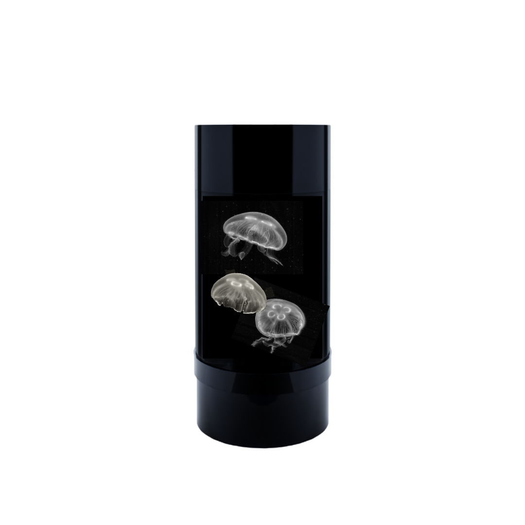 Jelly Cylinder 5 (Black) - 5 Gallon Saltwater Tank (Aquarium only)