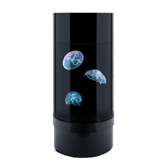 Jelly Cylinder 5 (Black) - 5 Gallon Saltwater Tank (Jellyfish Not Included)