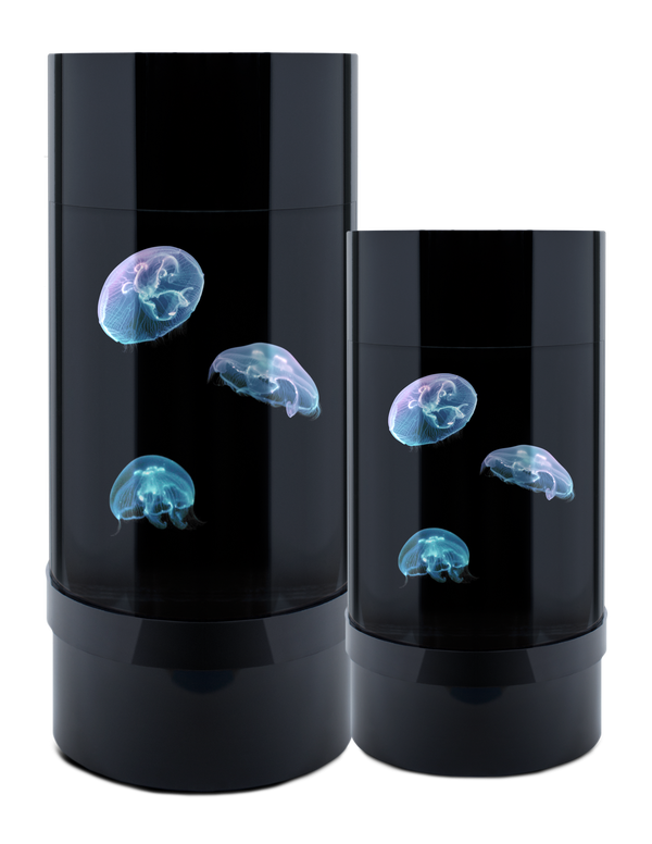 Jellyfish tank best sale