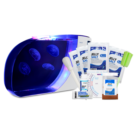 Kreisel 15 Jellyfish Aquarium Kit