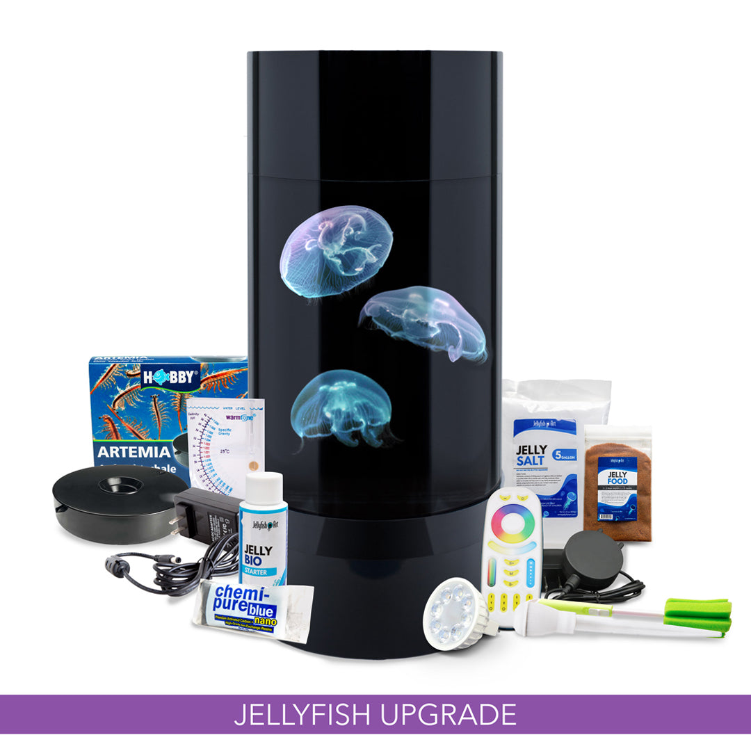 Jelly Cylinder 5 (Black) – 5 Gallon - Includes Upsized Jellyfish & Starter Kit