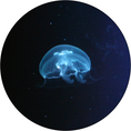 Load image into Gallery viewer, Small Moon Jellyfish
